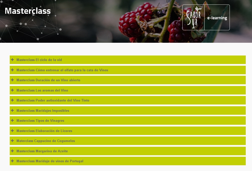 Ya están accesibles doce Masterclass